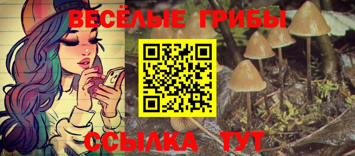 Саров  Галлюциногенные грибы Magic Shrooms  Вход с VPN 