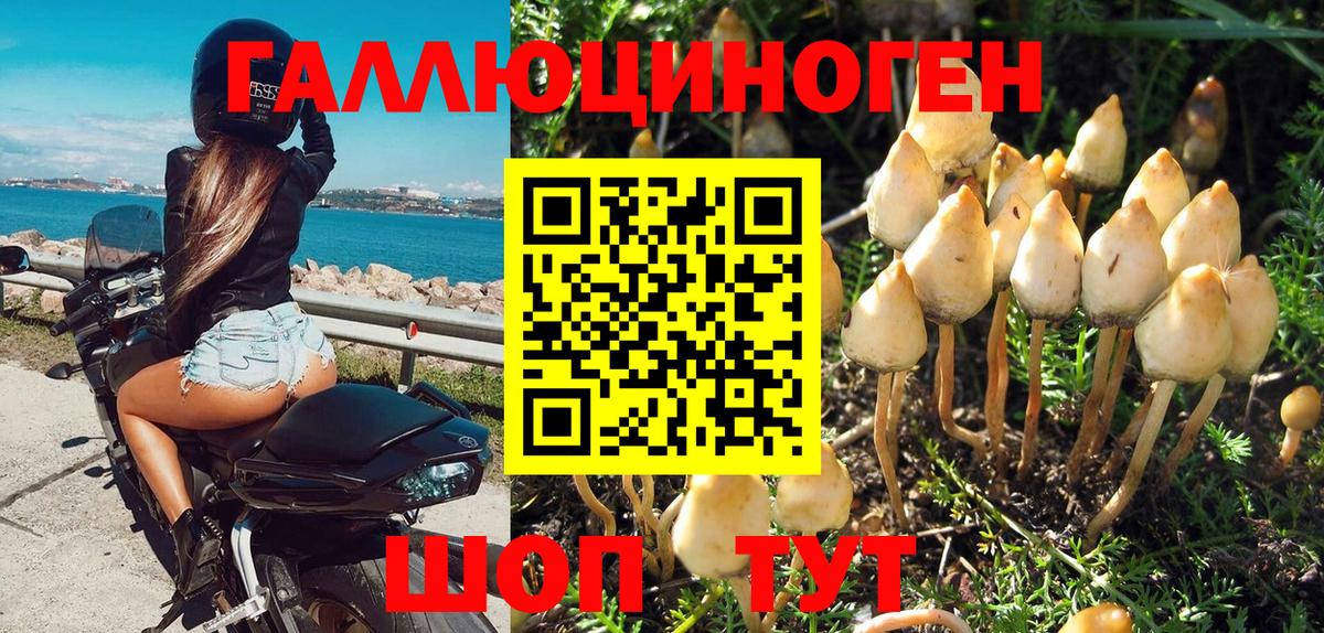 Галлюциногенные грибы прущие грибы Саров